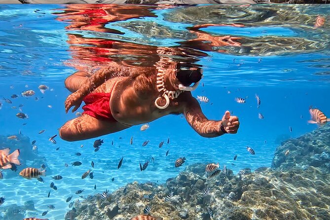 Crazyseahorseborabora Comfortable boat , sensational snorkeling . - First Water Stops: Sharks and Rays