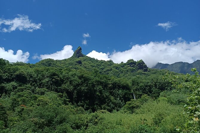 Découvrez le Mana durant la traversée de Tahiti en 4x4 Safari - Is $140.44 good value for a full day?