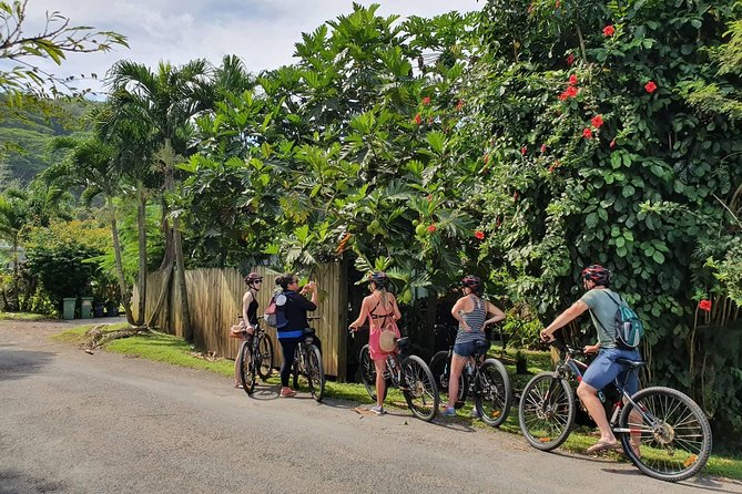 'Discover' Rarotonga Cycling Tour with Lunch - Why a Bicycle Is the Right Speed for Rarotonga