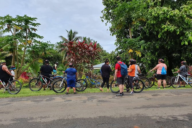 'Discover' Rarotonga Cycling Tour with Lunch - Who Will Enjoy This Tour Most?