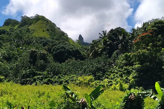 'Discover' Rarotonga Cycling Tour with Lunch - Weather, Pickup, and Small Details That Matter