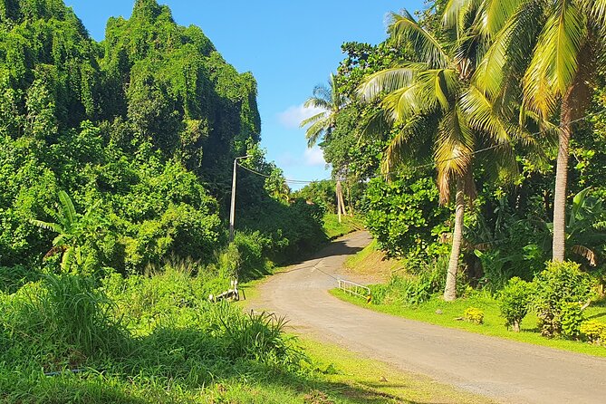 'Discover' Rarotonga Cycling Tour with Lunch - My Verdict: Book It for the Stories, Not the Distance