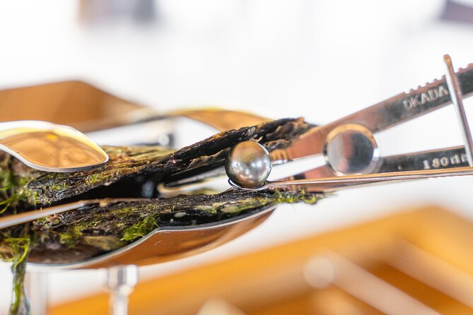 Discover the black pearl in Bora Bora - Why a black pearl makes a better souvenir than another photograph