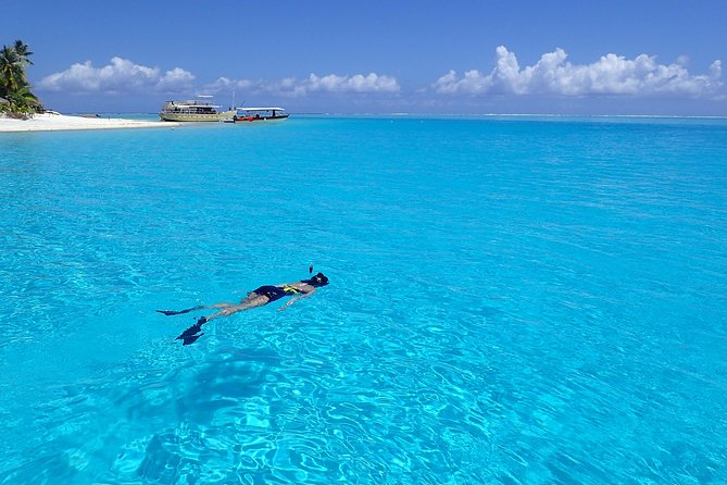 Discover the black pearl in Bora Bora - Choosing an oyster in the lagoon