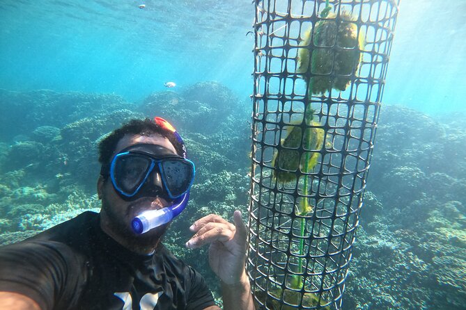 Discover the black pearl in Bora Bora - The oyster opening is the tour’s big reveal