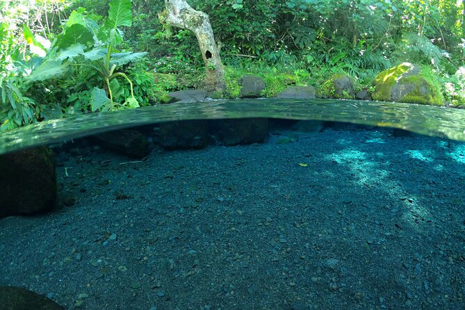 Discovering the emblematic sites of Tahiti - Taravao or Teahupoo: the key choice of the day