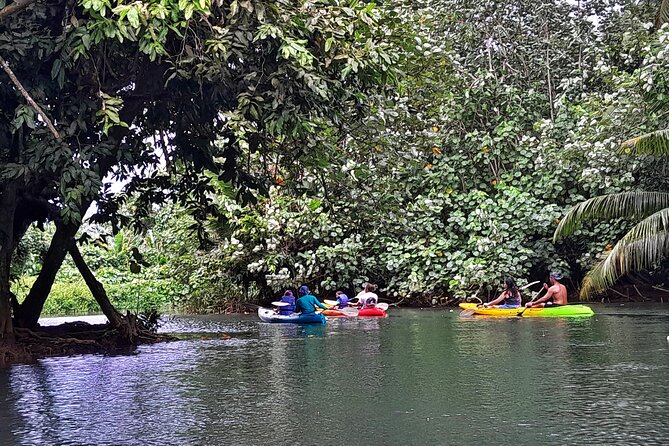 Discovery in Kayaking of the Faaroa River in Raiatea - Paddling the Faaroa River at a gentle pace