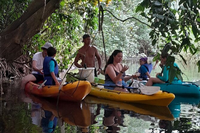 Discovery in Kayaking of the Faaroa River in Raiatea - The 8:30 a.m. meeting in Taputapuapea