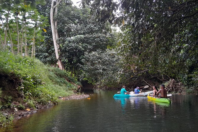 Discovery in Kayaking of the Faaroa River in Raiatea - Who should book this river outing?