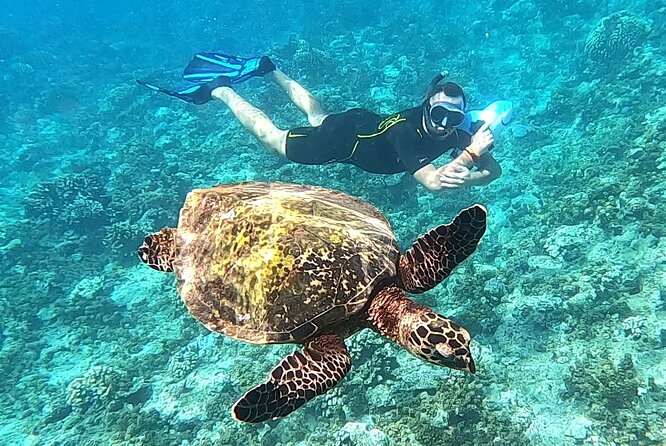 Diving day - What $264.13 really buys you