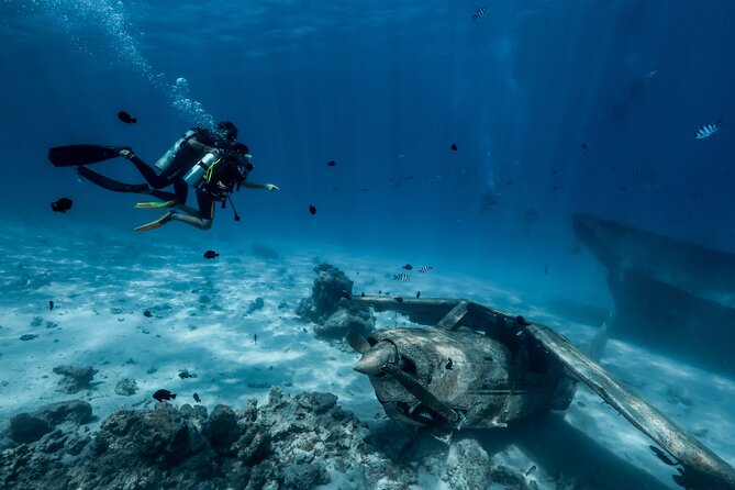 Diving initiation - What happens at the 10:30 am meeting point