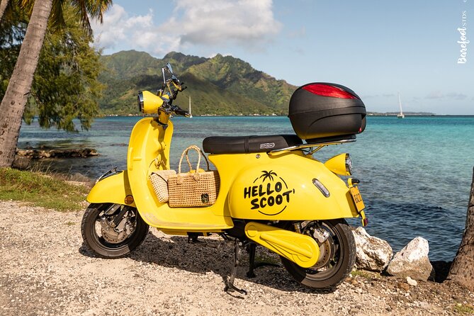 Diving initiation - Who should book this Tahiti lesson?