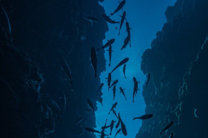 Double Diving Adventure Exploration for Certified Divers - The InterContinental meeting point is easy to use