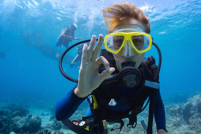 Double Diving Adventure Exploration for Certified Divers - Ocean or lagoon, with the day shaped by conditions