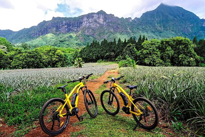 E-Bike Moorea Electric Bike Rental Moorea - The Moorea E-Bike Rental at a Glance