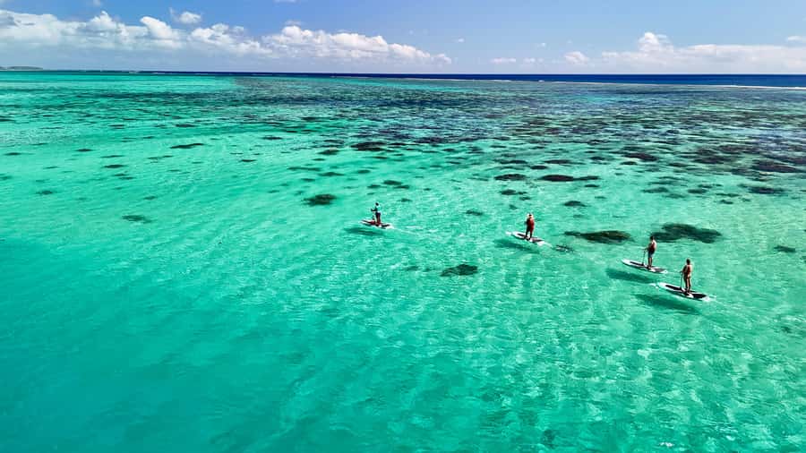 E-Board private tour of Moorea lagoon - Key points at a glance