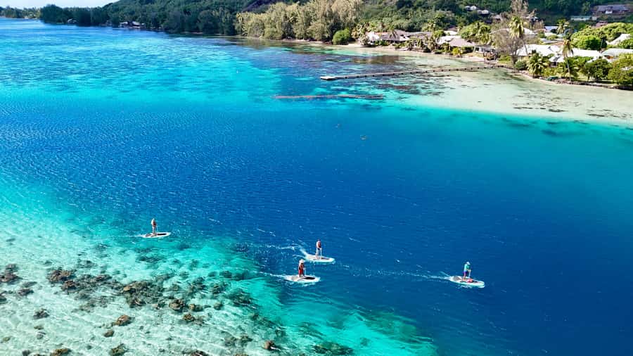 E-Board private tour of Moorea lagoon - Why an E Board is a smart way to see Moorea’s lagoon