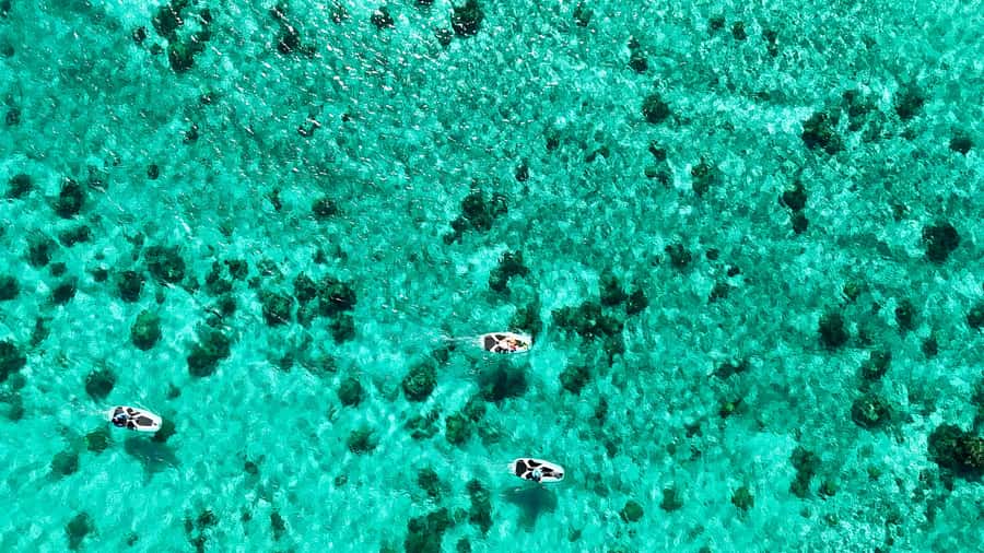E-Board private tour of Moorea lagoon - Cruising through the changing shades of blue