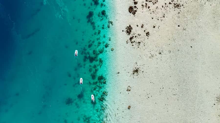 E-Board private tour of Moorea lagoon - The coral garden snorkeling stop