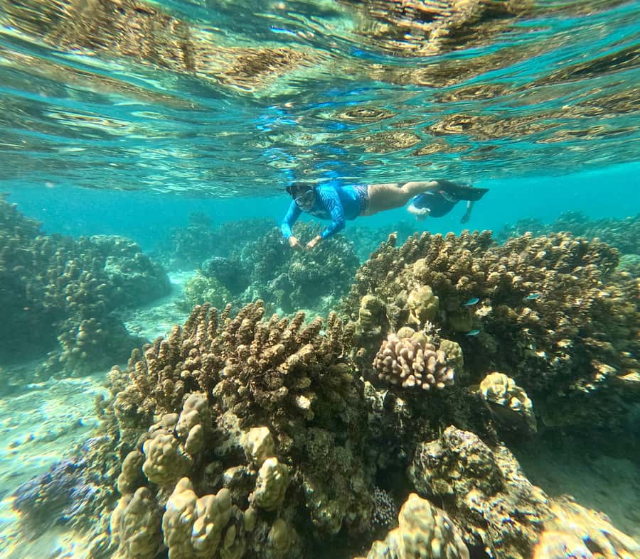 E-Board private tour of Moorea lagoon - E Board Miti Moorea compared with other Moorea outings