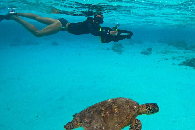 Eco Friendly Sea Scooter Turtle Tour in Rarotonga - Meeting at YWAM and getting ready