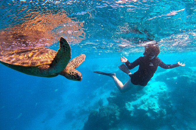 Eco Friendly Sea Scooter Turtle Tour in Rarotonga - What the $111.70 price includes