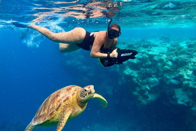 Eco Friendly Sea Scooter Turtle Tour in Rarotonga - Finding turtles, rays, and schools of fish