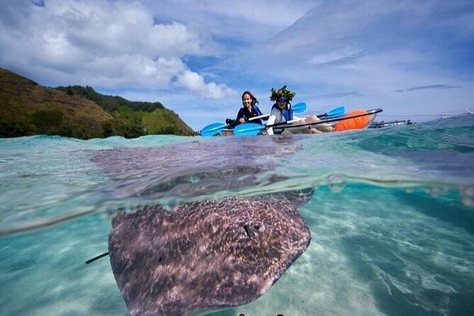 Eco guided excursion to the lagoon of Moorea in transparent kayak 1/2 day morning - Looking through the kayak at Moorea’s lagoon