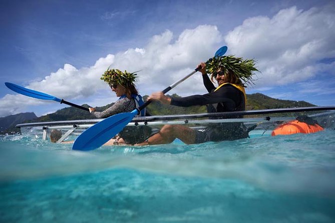 Eco guided excursion to the lagoon of Moorea in transparent kayak 1/2 day morning - Who should book this Moorea morning?