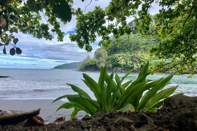 Electric Bike Rental Moorea - The delivery and bike handoff