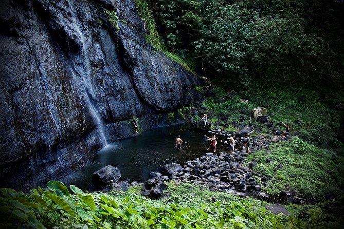Enjoy Moorea Day Tour - Afareaitu Waterfalls and the real meaning of easy