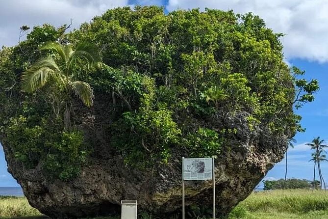 Exclusive Tour of Tongatapu - Anahulu Cave and the underground swimming pool