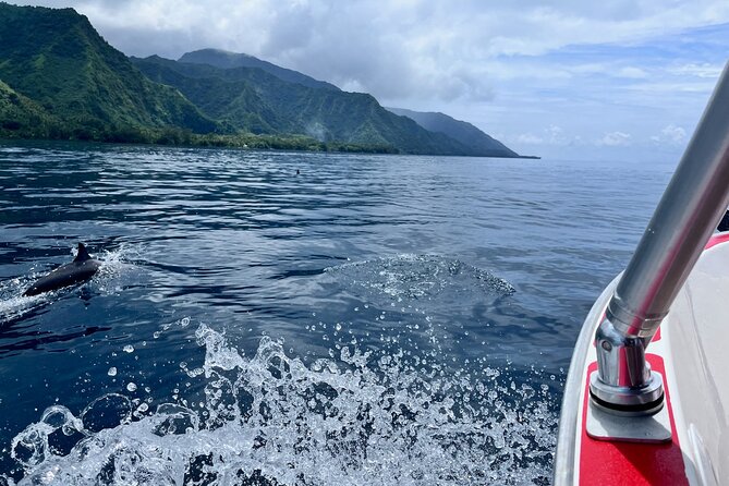 Excursion to discover the authentic Tahiti Peninsula 4:00 - Why Tahiti Iti deserves a boat trip