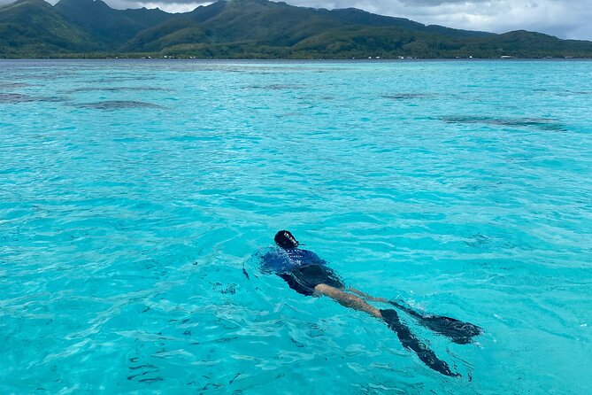 Exploration, Taha'a Lagoon Tour by Private Boat - Sharks, rays, turtles, and changing the route