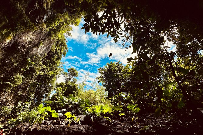 Explore Tahiti Nui, its landscapes and iconic sites. - Why this tour works well for a short stay in Tahiti