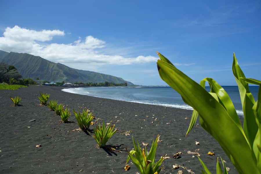 From Papeete: Tahiti Highlights Full-Day Private Tour - Lunch by the water at Gauguin