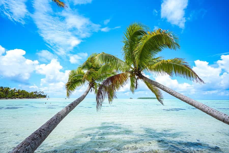 From Tahiti: Tetiaroa Island Tour by Sailing Catamaran - Why Tetiaroa feels different from a normal island day