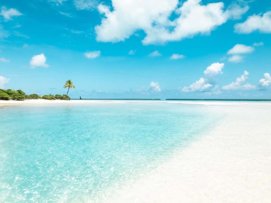 From Tahiti: Tetiaroa Island Tour by Sailing Catamaran - Tahitian lunch aboard the catamaran