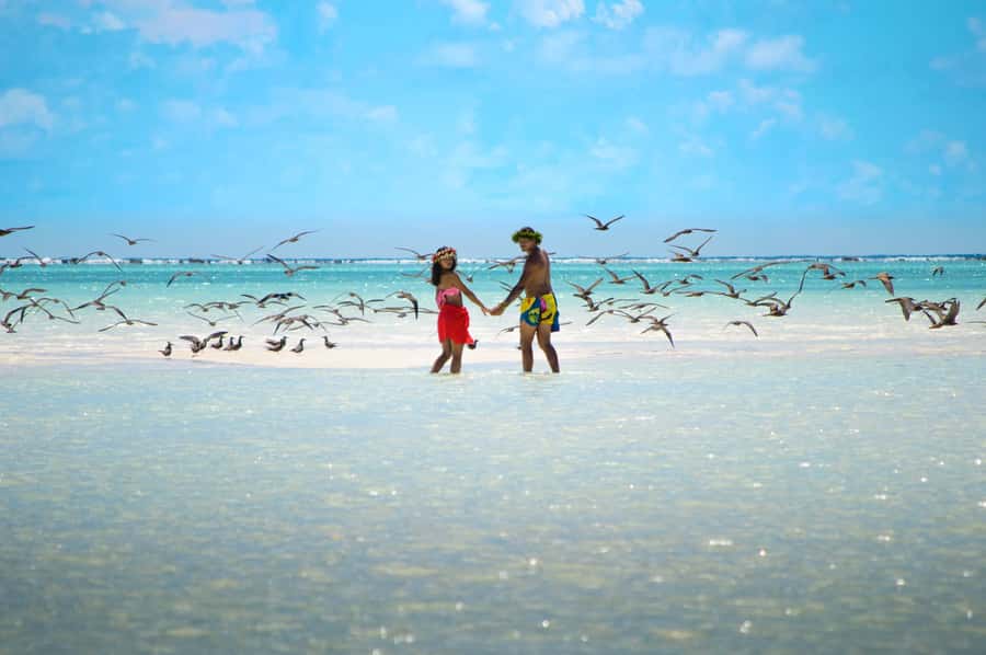 From Tahiti: Tetiaroa Island Tour by Sailing Catamaran - Snorkeling along the reef