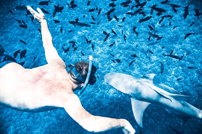 Full-Day Bora Bora Lagoon Cruise Including Snorkeling with Sharks and Stingrays - Who will enjoy this Bora Bora excursion most