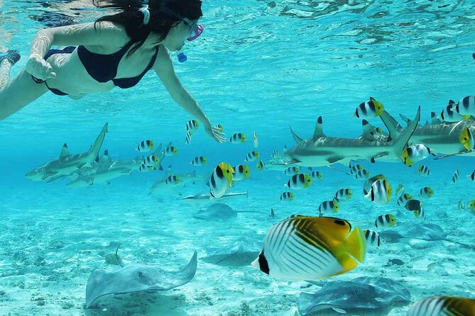 Full Day Combo Bora Bora ATV Tour & Motu Pass with Buffet - Timing, pickup, and what to bring