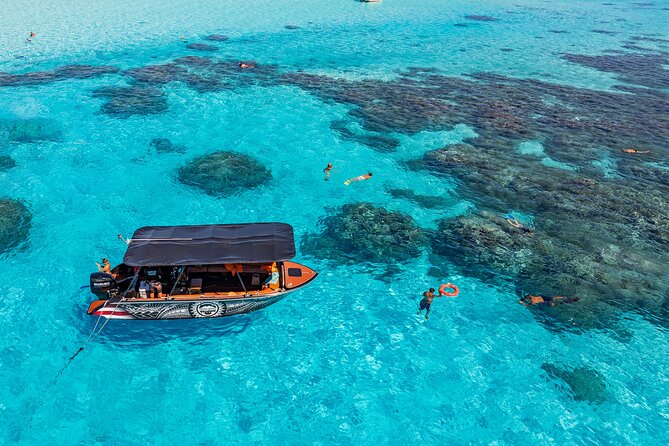 Full Day Eco Snorkeling & Traditional BBQ Lunch on a Motu - From snorkeling to a Polynesian BBQ on the motu