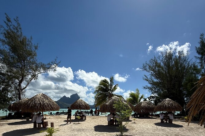 Full Day Eco Snorkeling & Traditional BBQ Lunch on a Motu - Who will enjoy this lagoon tour most