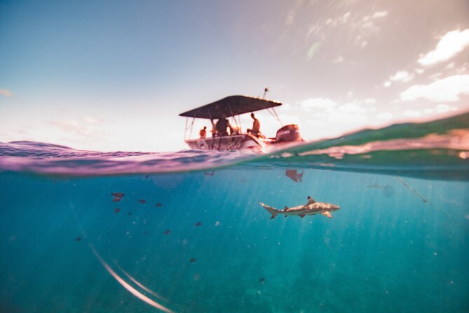 Full Day Eco Snorkeling & Traditional BBQ Lunch on a Motu - Weather, cancellations, and useful planning details