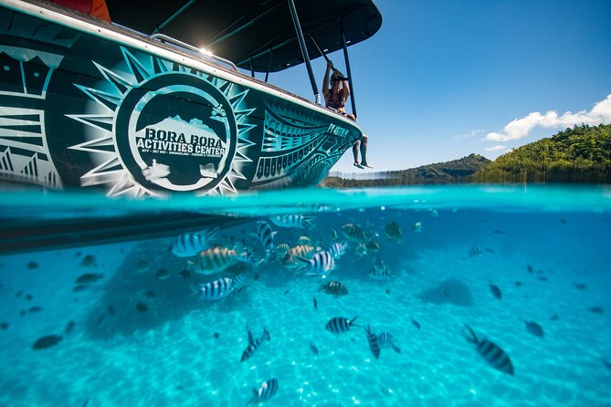 Full Day Eco Snorkeling & Traditional BBQ Lunch on a Motu - Should you book it?