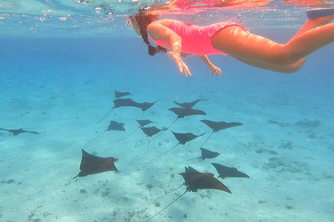 Full-day Lagoon Safari Tour with Lunch in Bora Bora - Shared tour - Key points to know before you book