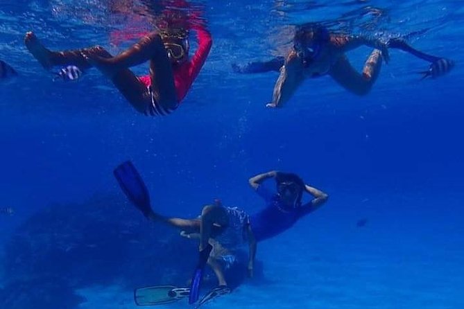 Full-Day Private Boat Tour of Bora Bora Lagoon with Snorkel - The first snorkel sites: coral, fish, and clear water