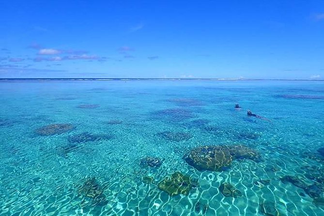 Full-Day Private Boat Tour of Bora Bora Lagoon with Snorkel - Booking timing and cancellation details