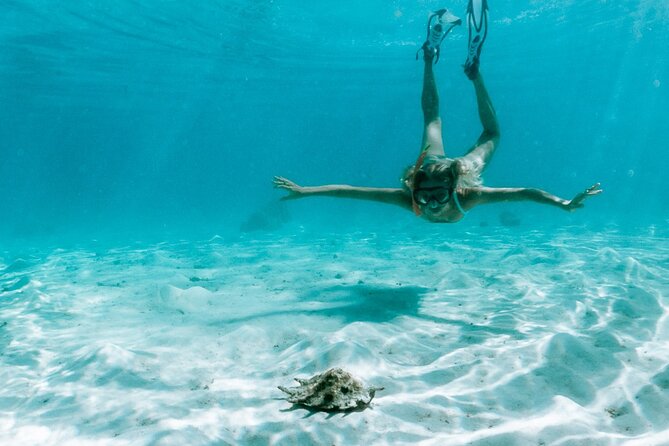 Full Day Tour : Moorea Snorkeling & Sunset Cruise on a Catamaran named Taboo - Tiahura’s coral gardens and the choice to stay dry