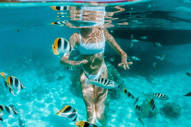Full Day Tour : Moorea Snorkeling & Sunset Cruise on a Catamaran named Taboo - Three North Coast snorkeling stops